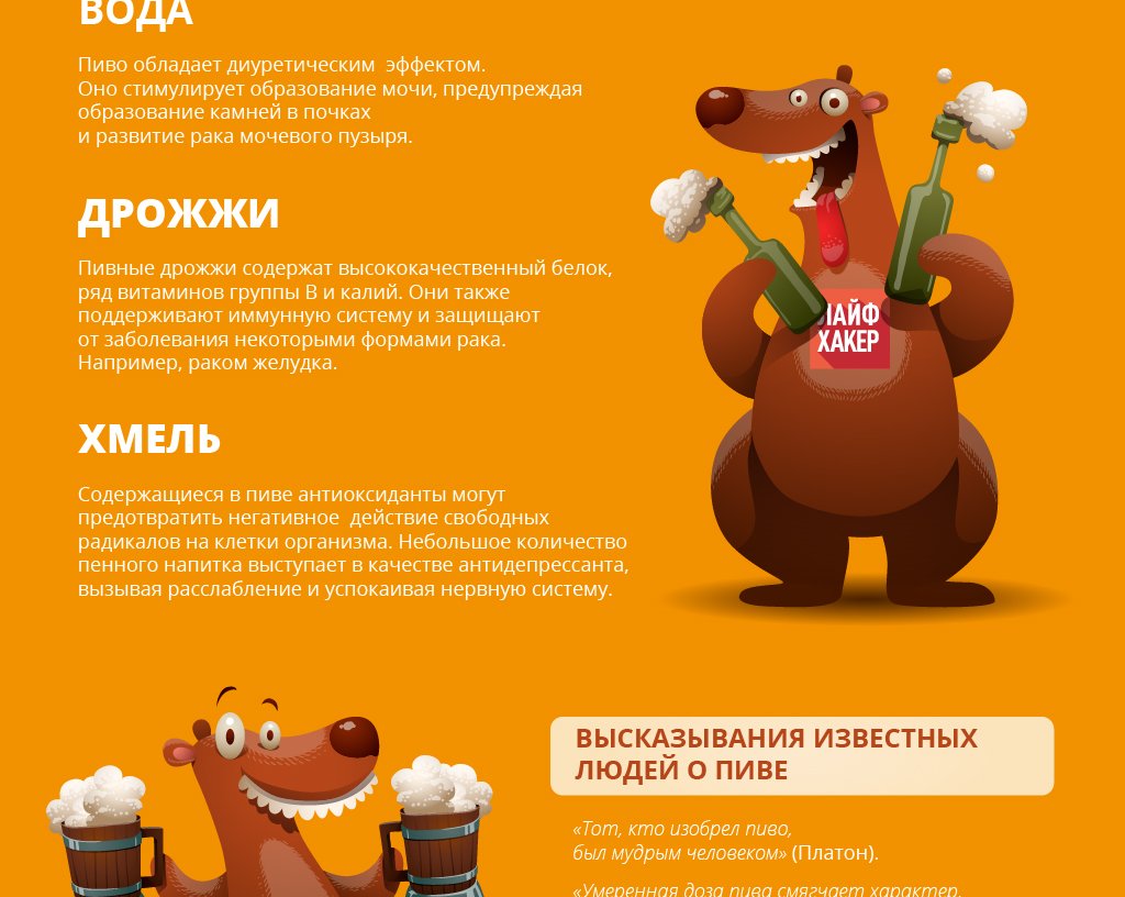 ИНФОГРАФИКА: Чем полезно пиво
