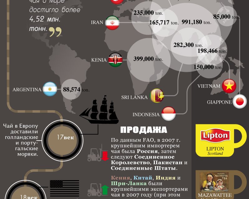 ИНФОГРАФИКА: Все, что вам нужно знать о чае
