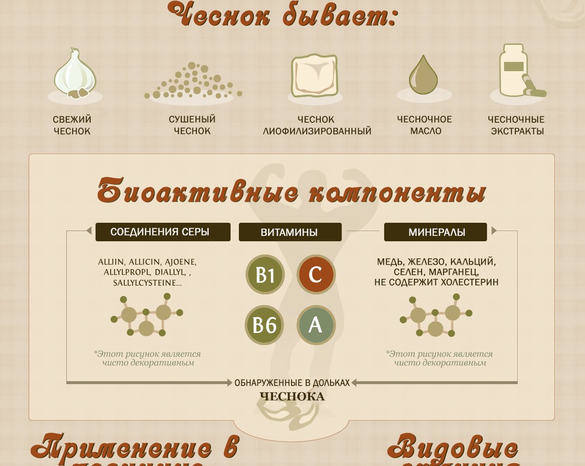 ИНФОГРАФИКА: Чеснок - удивительное природное лекарство для вашего организма