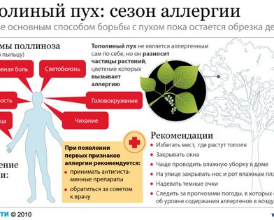 ИНФОГРАФИКА: Как защищаться от тополиного пуха