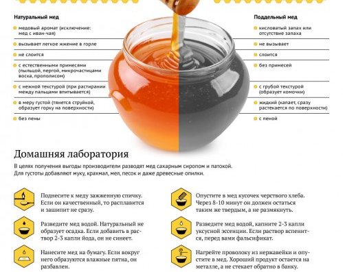 ИНФОГРАФИКА: как определить натуральный мед от поддельного