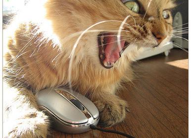 Управление гневом или как направить энергию в правильное русло